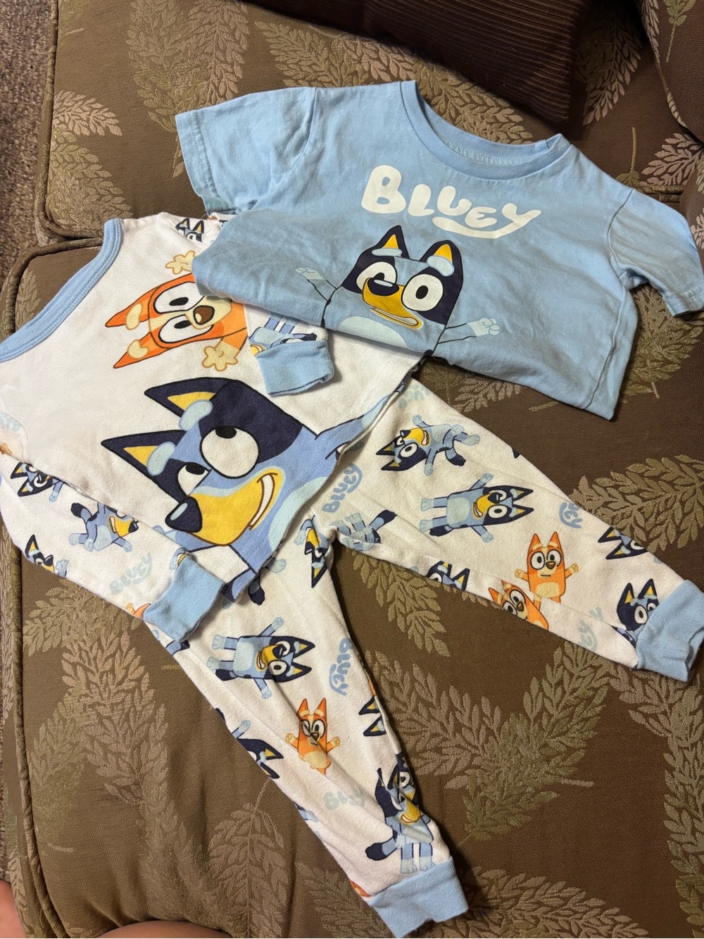 Bluey Clothing